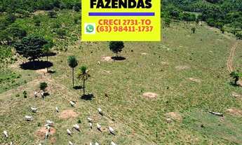 Imagem 5: Fazenda entre Palmas e Paraíso no Tocantins dupla aptidão