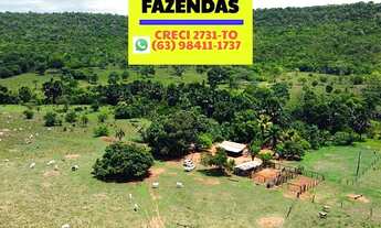 Imagem 4: Fazenda entre Palmas e Paraíso no Tocantins dupla aptidão