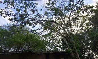 Imagem 6: Casa Casa com 1 dormitório