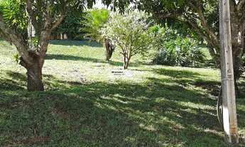 Imagem 4: CHACARA RURAL em PINHALZINHO - SP, Rural