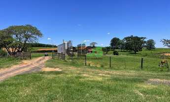 Imagem 2: Fazenda DUPLA APTIDÃO, MONTADA NA PECUÁRIA, 155 alqueires à venda por R$23.250.000,00 - Mu