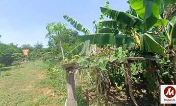 Imagem 4: Terreno (terreno normal