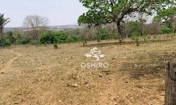 Imagem 5: FAZENDA PARA VENDA EM POXORÉO - MT (CÓD. 256