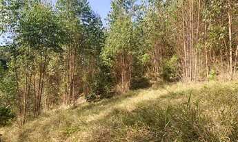 Imagem 6: Vende-se terreno 1000m² para chacara