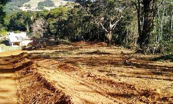Imagem 5: Terreno Roas Mendes Pinhalzinho
