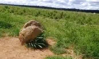 Imagem 4: FAZENDA A VENDA EM SANTANA DO ARAGUAIA PA