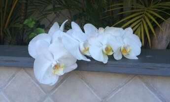 Imagem 2: Cobertura com 4 dormitórios à venda, 336 m² por R$ 1.600.000,00 - Santa Maria - São Caetan