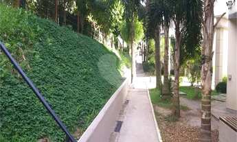 Imagem 6: VENDE LINDO APARTAMENTO NO JARAGUÁ!!!