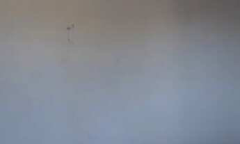 Imagem 5: Vendo casa no bairro canelas