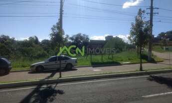 Imagem 2: Estância Velha - Terreno Padrão - Floresta