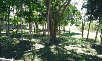 Imagem 4: TERRENO COM 25.000m² A VENDA NO BAIRRO PEROBA EM RIO DAS OSTRAS RJ