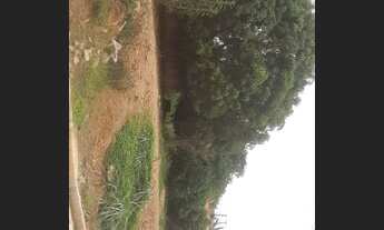 Imagem 2: Vende-se um Lote