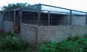 Imagem 7: Casa para Venda em Araruama, Jardim California, 1 dormitório, 1 banheiro, 5 vagas