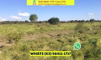 Imagem 2: Fazenda em Formoso do Araguaia lavoura