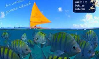 Imagem 5: Apartamento vista mar da praia de Porto de Galinhas com 2 quartos de 38,48m² a 50 metros d