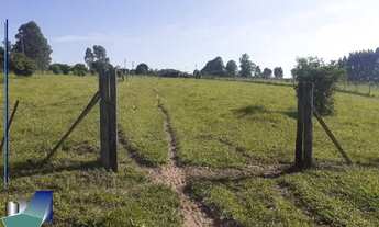 Imagem: Sítio em São Simão 2 alqueires à venda