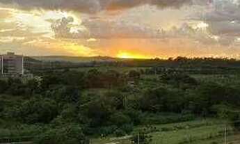 Imagem 7: Apartamentos apartamento Nova aliança Sul