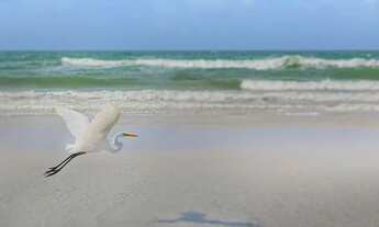 Imagem 2: Alugo Apto No Salinas Park Resort Mobiliado