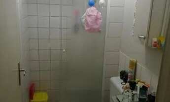 Imagem 6: Apartamento para Locação em São Paulo, Pirituba, 2 dormitórios, 1 banheiro, 1 vaga