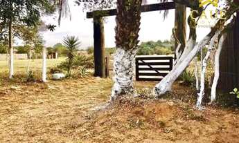 Imagem: Baita terreno 2453m², com lindo mato nativo