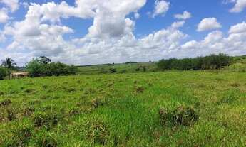 Imagem 5: Fazenda 70 tarefas - Siriri