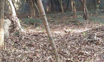 Imagem 2: Terreno à venda, 523 m² por R$ 280.000,00 - Fazendinha - Carapicuíba/SP