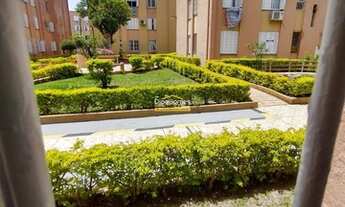 Imagem 4: PELOTAS - Padrão - Centro