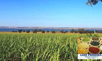 Imagem 5: FAZENDA À VENDA EM QUIRINÓPOLIS - GO - COM PLANTIO DE CANA (Agricultura