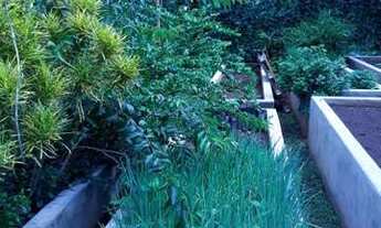 Imagem 4: Área Rural para Venda em Santa Mariana, Distrito de Panema, 4 dormitórios, 2 suítes