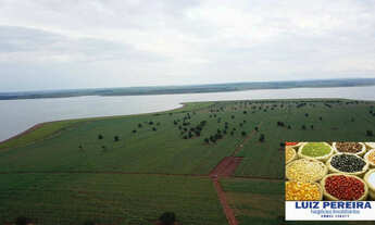 Imagem 2: FAZENDA À VENDA EM QUIRINÓPOLIS - GO - COM PLANTIO DE CANA (Agricultura