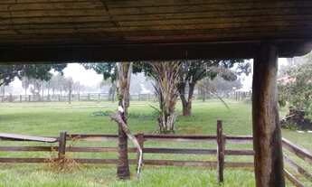 Imagem: Fazenda 370 Alqueires 67 Km de Formosa