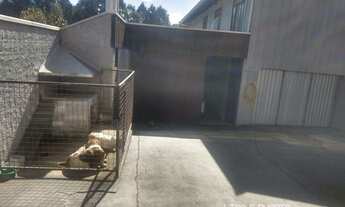 Imagem 5: Galpão/Pavilhão Industrial para Venda em Serra Alta São Bento do Sul-SC