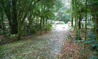 Imagem 6: Oportunidade em São Francisco de Paula RS