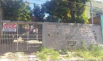 Imagem 4: Lote com duas casas