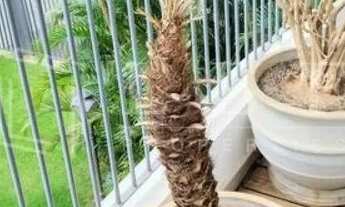 Imagem 3: Real Parque apartamento mobiliado