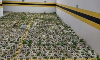 Imagem 5: CONTAGEM - Padrão - Olinda