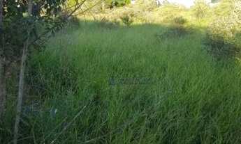 Imagem 4: Terreno à venda, 9700 m² por R$ 3.300.000,00 - Morada dos Pássaros - Itatiba/SP