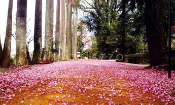 Imagem 7: LIMEIRA - Casa de Condomínio - Fazenda Itapema