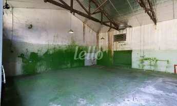 Imagem 4: São Paulo - Galpão/Depósito/Armazém - Vila Sônia