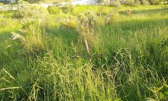 Imagem 6: Terreno à venda, 9700 m² por R$ 3.300.000,00 - Morada dos Pássaros - Itatiba/SP