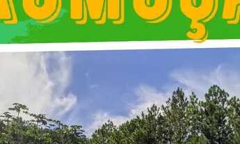 Imagem: Lote/Terreno para venda tem 600 metros quadrados