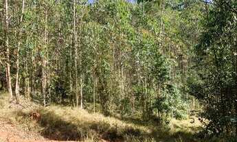 Imagem: Terreno 1000 metros para sitio em Igarata