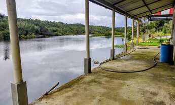 Imagem 3: Chacara Perto da Cidade Universitaria 3.500m² Casa e Galpão Km 08 da Manuel Urbano