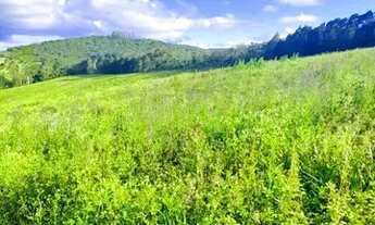 Imagem 2: 03cn-1C95I20 Terreno / lote com venda por R$60.000