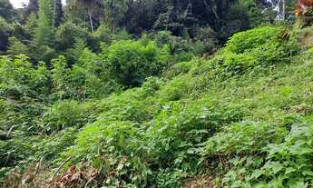Imagem 6: Casa início Quarteirão Ingelheim, terreno de 1.200 m² - excelente preço - Petrópolis - RJ