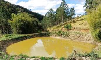 Imagem: Lote/Terreno para venda tem 1200 metros