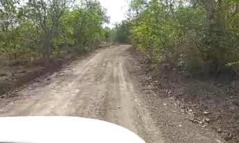 Imagem 6: Fazenda a venda dupla aptidão Cuiabá MT