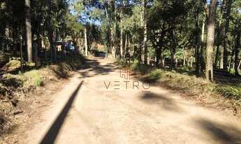 Imagem 7: Terreno em Canela!