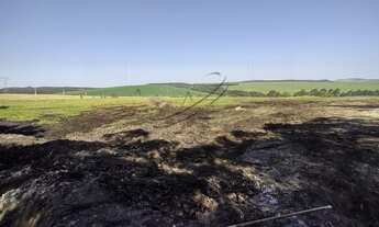 Imagem 4: Fazenda à venda em Ponta Grossa/PR