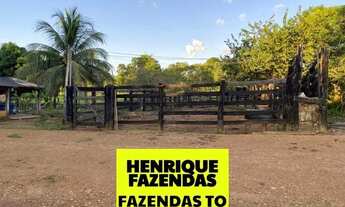 Imagem 4: Fazenda entre Porto Nacional e Fatima Tocantins
